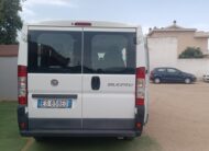FIAT Ducato (4a serie)   30 2.0 MJT PC-TN Panorama