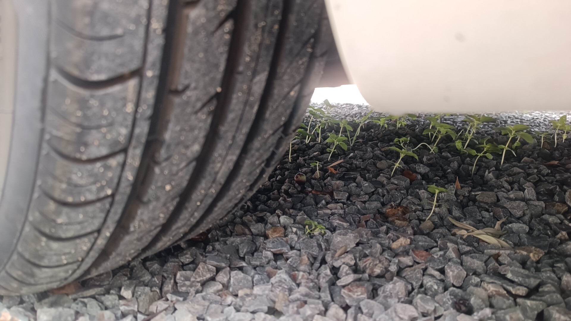 Fiat 500 1.3 Multijet 95 CV Lounge