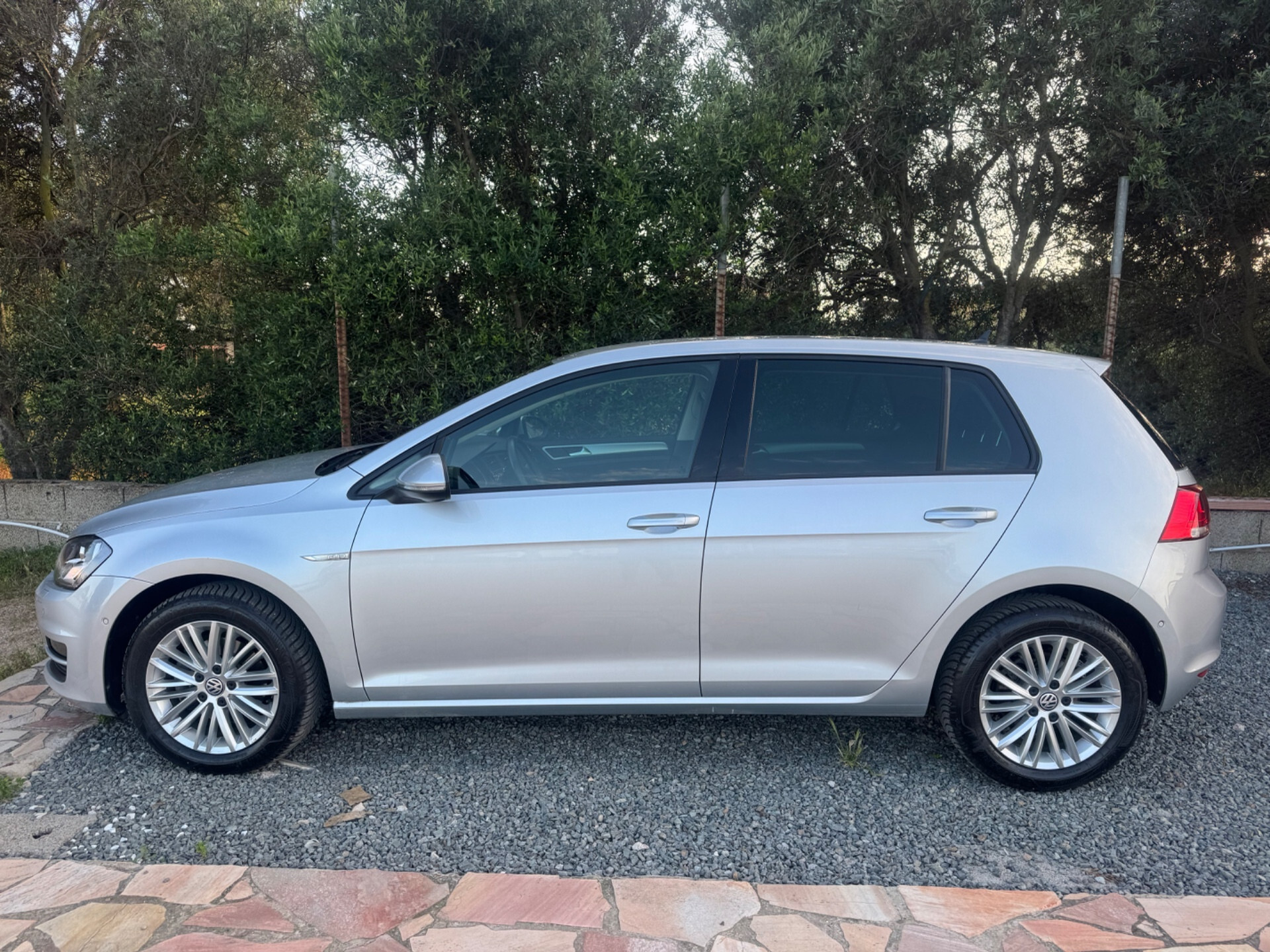 Volkswagen Golf 1.6 TDI 110 CV 5p. Comfortline Blu