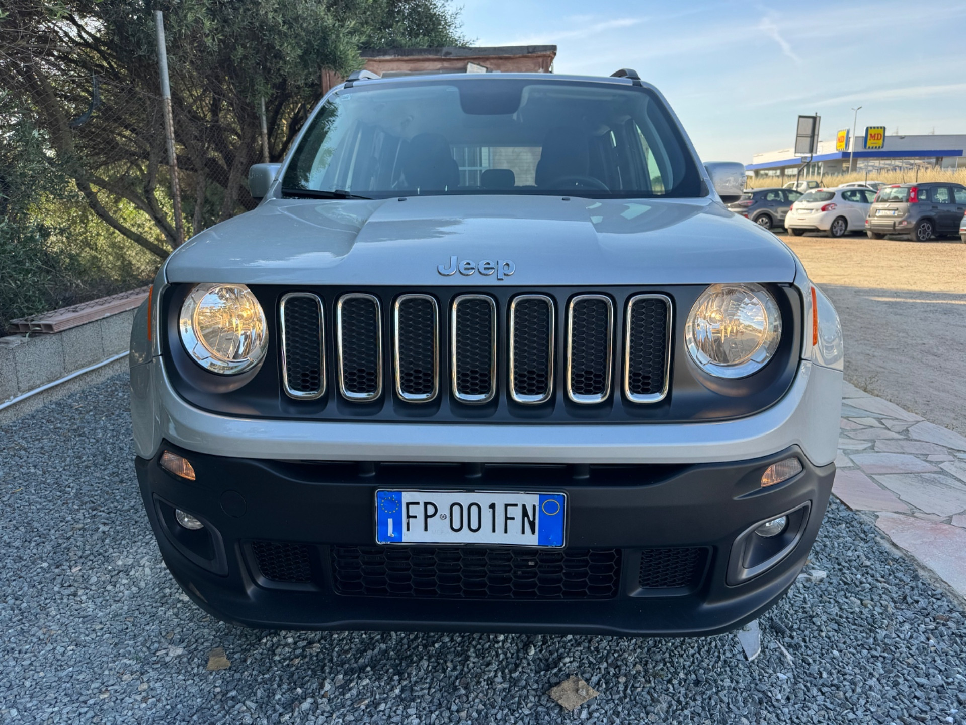 Jeep Renegade 1.6 Mjt 120 CV Longitude