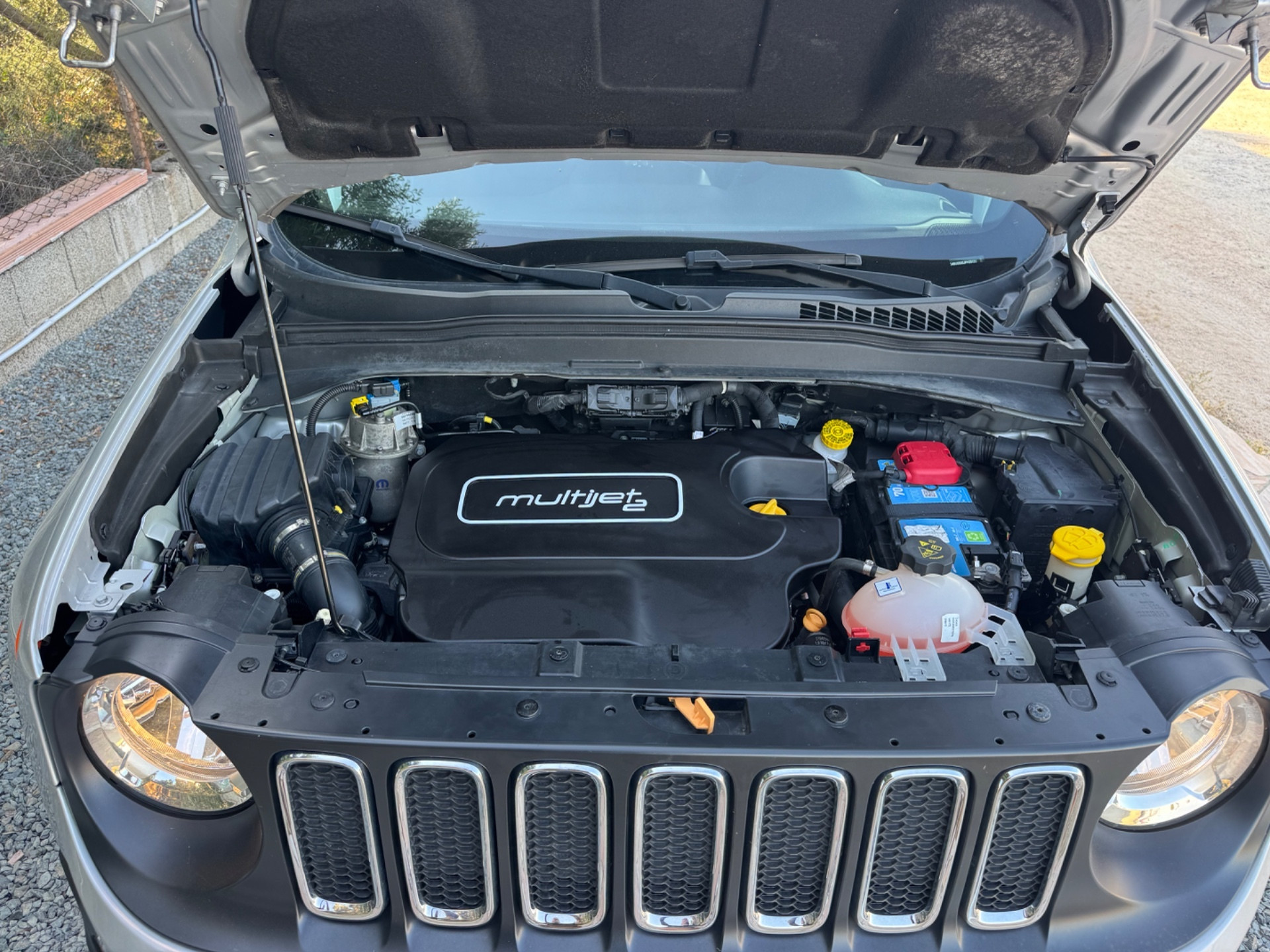 Jeep Renegade 1.6 Mjt 120 CV Longitude